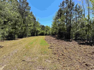 TBD 1 Santee Rd Unit Suttons, Andrews, SC 29510