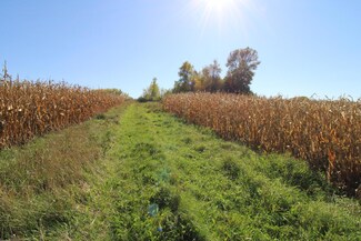 Xxxx E Eagle Lake Rd, Willmar, MN 56201