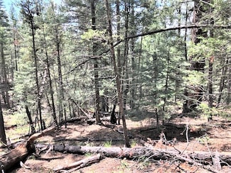 3.68 Acres Sawyer Mesa Rd, Pecos, NM 87552