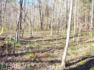 000 Hooper Chastain Rd, Tuckasegee, NC 28783