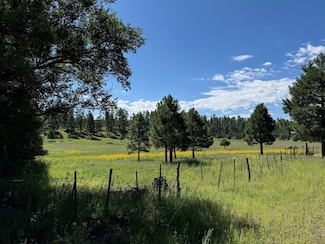 23 Mail Hollow Trail, Luna, NM 87824