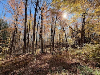 Parcel 230 Blue Rd, Laird Township, MI 49958