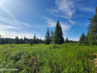 17584 Chefornak St, Happy Valley, AK 99639