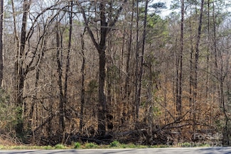 2 AC Maple Creek Rd, Rutherfordton, NC 28139