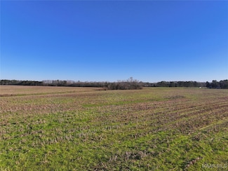 1 County Road 22, Union Springs, AL 36089