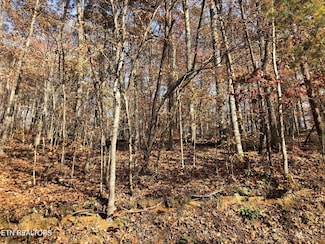 Lot 52 Harbor Ln, Lafollette, TN 37766