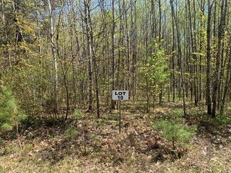 Lot #10 Tall Pines Dr Unit On, Lac Du Flambeau, WI 54538