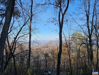 TBD Lot 17 Spring Branch Ln, Free Union, VA 22940