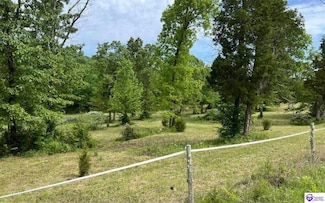 Lot 2 Constantine Rd, Cecilia, KY 42724