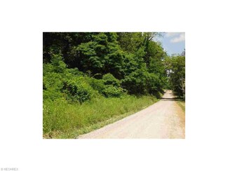 0 Johnson Rd Unit T9513923, Bethesda, OH 43718