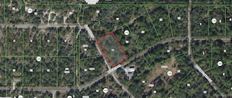 11925 W Acacia Dr, Crystal River, FL 34428
