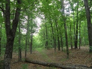 0 Hwy Pp Unit 60001497, Cape Fair, MO 65624