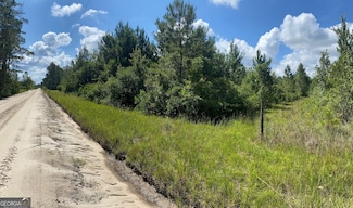 0000 Chancey Rd, Patterson, GA 31557