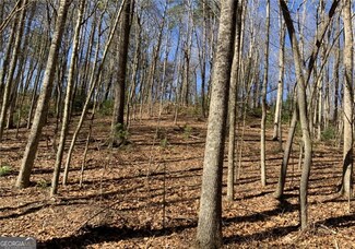 0 Walhalla Ct Unit 388 10469873, Ellijay, GA 30540