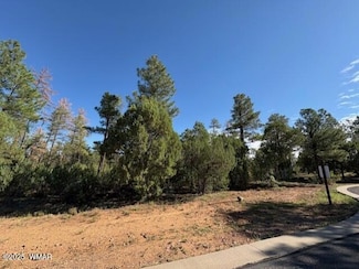 2100 W Whispering Springs Unit Lot 1, Show Low, AZ 85901