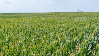 Tbd U S 271 S, Bogata, TX 75417