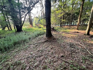 0 Goddards Rd, New Lisbon, NY 13810
