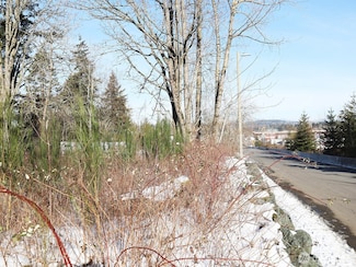 157408 12th St, Blaine, WA 98230