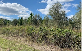 1 Florida 51, Mayo, FL 32066