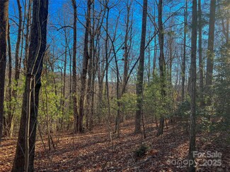 203 Bent Pine Trace Unit 179, Hendersonville, NC 28739