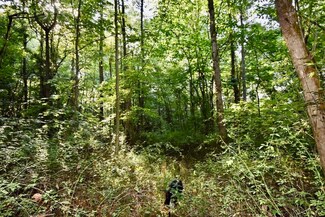 0 Powell Valley Rd Unit 202140663, Shoals, IN 47581