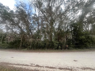 tbd NE 110th Ave, Citra, FL 32113
