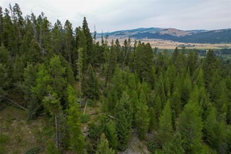 NHN Old Corral Ln, Elliston, MT 59728