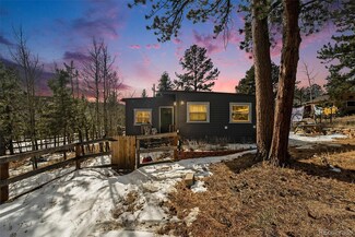 25 Harris St, Bailey, CO 80421