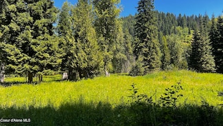 NKA Beaver Creek Rd, Wallace, ID 83873