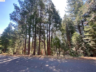 155 Alpine Dr, Cold Springs, CA 95335