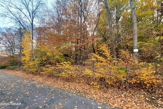 126 Fleming Ave, Castanea, PA 17745