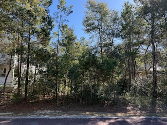 TBD Riker Ave, Santa Rosa Beach, FL 32459