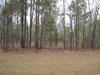 73 Pineberry Dr, Georgetown, SC 29440