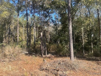 TBD County Road 619, Enterprise, AL 36330