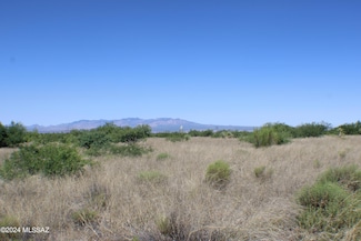 E1 LOT 43 E De Vaca Cir Unit LOT 43, St. David, AZ 85630