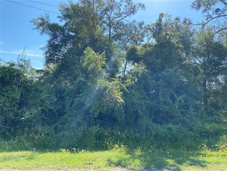 0 Morgan Paper St Unit V4922187, Deltona, FL 32725