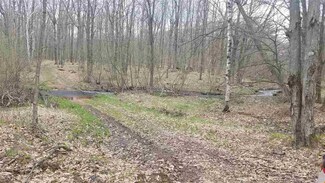 39.07 Acres Birch Dr, Rosholt, WI 54473