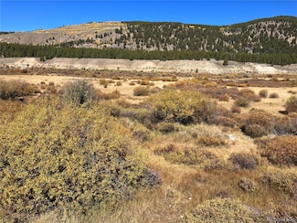0 Leadville Land Unit REC6159812, Leadville, CO 00000