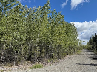 37050 Future Ave, Sterling, AK 99672