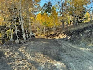 52 Overlook Dr Unit K52, Fairview, UT 84629