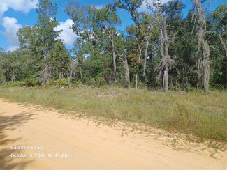 0 Churchill St Unit MFRNS1081951, Interlachen, FL 32148