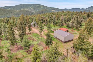 64 Elk Horn Ct, Bailey, CO 80421