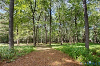 12800 Lewis Rd, Chester, VA 23831