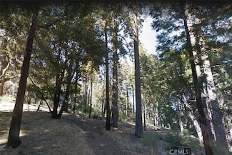 59 Mojave River Rd, Crestline, CA 92325