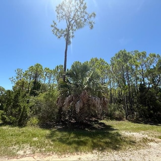1259 E Gulf Beach Dr, St. George Island, FL 32328