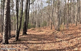 0 Deerfoot and Pinetree Rd Unit PM-121538, Albrightsville, PA 18210