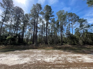 105 Rosewood St, Georgetown Cove, FL 32139