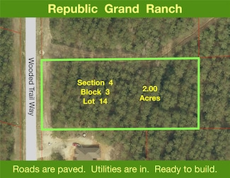 15682 Wooded Trail Way, Willis, TX 77378
