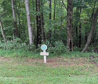 21 Feather Falls Trail, Black Mountain, NC 28711