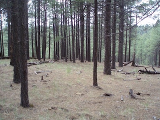 Pcl1&2 001k&l Coconino Forest Rd 137a, Happy Jack, AZ 86024